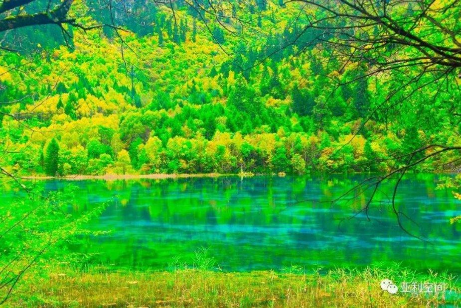 逃离幻想冰淇淋场