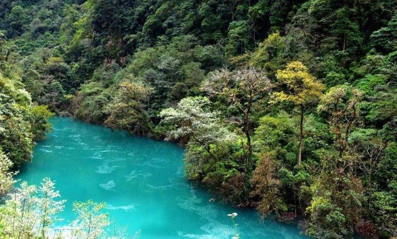 成都附二口腔扁平苔藓医院科普：牙周病的症状是什么？